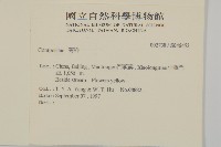 登錄號:S046452藏品圖，第2張