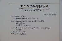 呂宋莢迷藏品圖，第2張