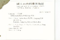 梜木藏品圖，第2張