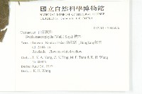 梜木藏品圖，第2張
