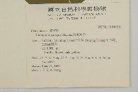 刺果衛矛藏品圖，第2張