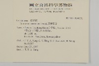 厚葉衛矛, 源一木藏品圖，第2張