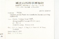 水芥菜、豆瓣菜、無心菜、水甕菜藏品圖，第2張