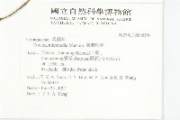 臺灣馬桑藏品圖，第2張