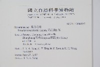 黃花鳳仙花藏品圖，第2張