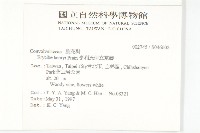 亨利氏伊立基藤藏品圖，第2張