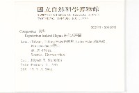 田代氏澤蘭藏品圖，第2張