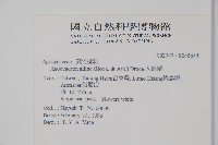 小錦蘭藏品圖，第2張