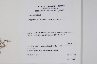 登錄號:S046665藏品圖，第2張