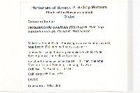 登錄號:S046668藏品圖，第2張