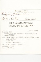 山菊藏品圖，第2張