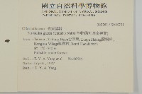 草珊瑚、紅果金粟蘭藏品圖，第2張