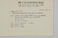 日本賽衛矛、日本假衛矛藏品圖，第2張