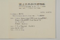 日本賽衛矛、日本假衛矛藏品圖，第2張