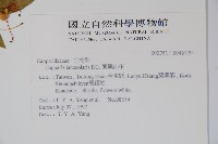 蘭嶼山柑藏品圖，第2張