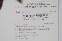 厚殼樹藏品圖，第2張