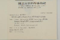 草珊瑚、紅果金粟蘭藏品圖，第2張