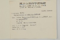 蘭嶼裸實藏品圖，第2張