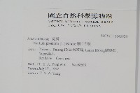 假川牛膝藏品圖，第2張