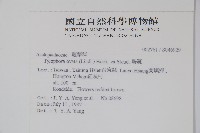 鷗蔓藏品圖，第2張