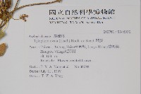 鷗蔓藏品圖，第2張