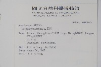 爵床藏品圖，第2張