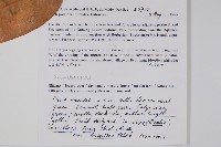 登錄號:S047005藏品圖，第2張