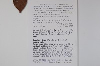 登錄號:S047010藏品圖，第2張