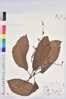 登錄號:S047029藏品圖，第1張