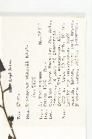 登錄號:S047030藏品圖，第2張