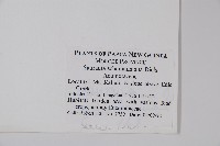 登錄號:S047038藏品圖，第2張