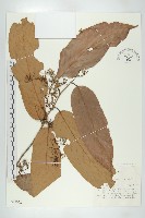 登錄號:S047052藏品圖，第1張