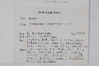 登錄號:S047053藏品圖，第2張