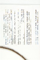 登錄號:S047065藏品圖，第2張