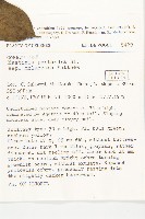 登錄號:S047072藏品圖，第2張