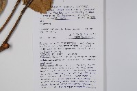 登錄號:S047100藏品圖，第2張