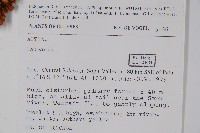 登錄號:S047114藏品圖，第2張