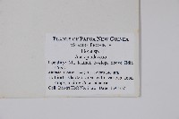 登錄號:S047119藏品圖，第2張