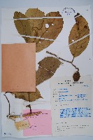 登錄號:S047138藏品圖，第1張