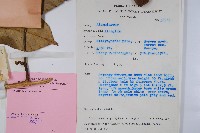 登錄號:S047138藏品圖，第2張