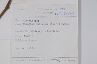 八角楓藏品圖，第2張