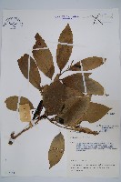 登錄號:S047141藏品圖，第1張