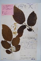 登錄號:S047151藏品圖，第1張