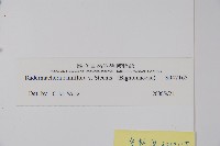 登錄號:S047165藏品圖，第2張