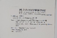 針刺草藏品圖，第2張