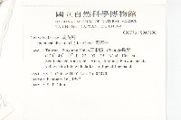 野牽牛藏品圖，第2張