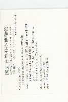 槭葉括摟藏品圖，第2張