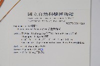 岩生秋海棠藏品圖，第2張