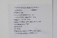 登錄號:S047235藏品圖，第2張
