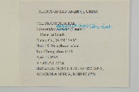 絲穗金粟蘭藏品圖，第2張